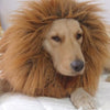 Lion Mane Wig Pet Costume Clothes